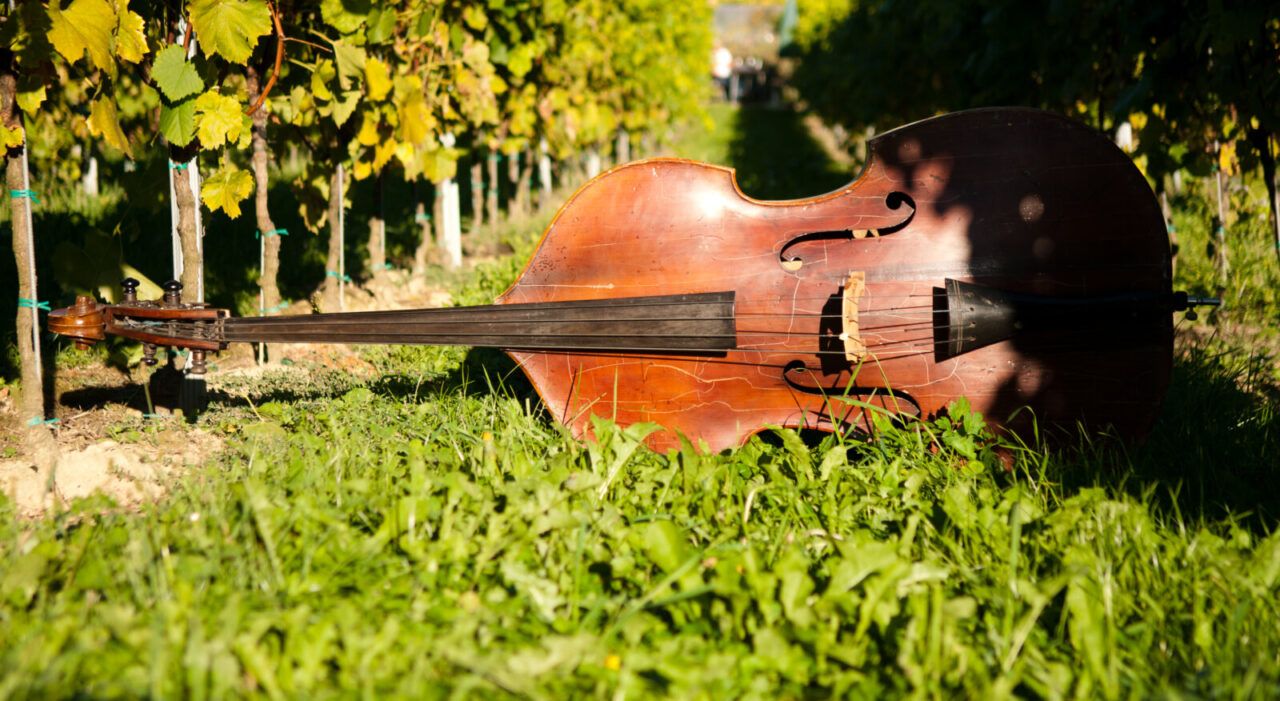 »Warum hast du nicht Flöte gelernt?«
