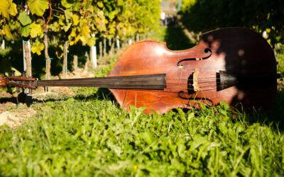 »Warum hast du nicht Flöte gelernt?«