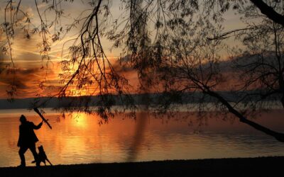 Wasser als Bühne und Inspiration