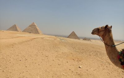 Wenn Grenzen verschwimmen