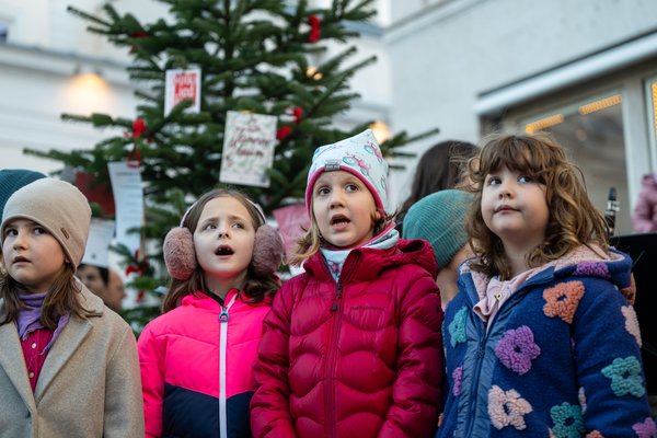 Salzburger Weihnachtsliederbäume