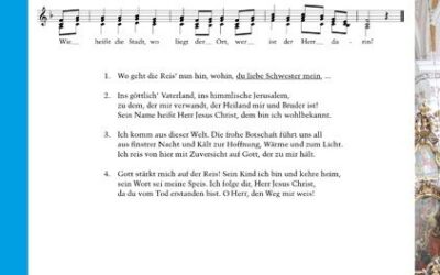 Wo geht die Reis nun hin